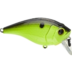 Chartreuse Black Back