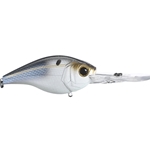 Threadfin Shad