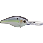Wild Shad