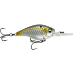 Shad Fantasy