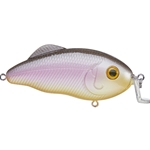 Sweet Shad