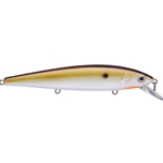 TN Shad 2.0