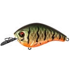 Green Craw