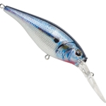 HD Threadfin Shad