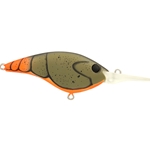 Firetail Green Craw