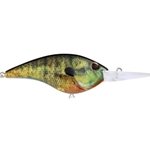 HD Bluegill