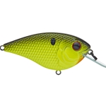 Chartreuse Black Back