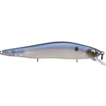 Ghost Bone Minnow