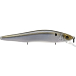 Threadfin Shad