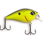 Chartreuse Black Back