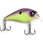 Kosmo Shad