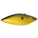 Gold Shiner