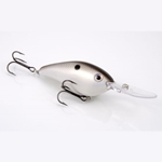 Gizzard Shad