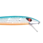 Chrome/Blue Back/Orange Belly