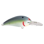 Tennessee Shad