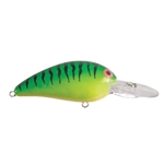 G-Fleck Bengal Fire Tiger