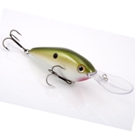 Tennessee Shad