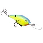 Powder Blue Back Chartreuse