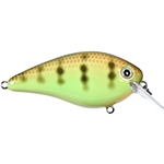 Chartreuse Perch