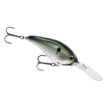 Reel Shad