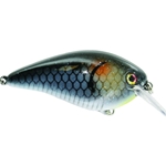 Bleu Shad