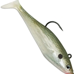 Olive Shad